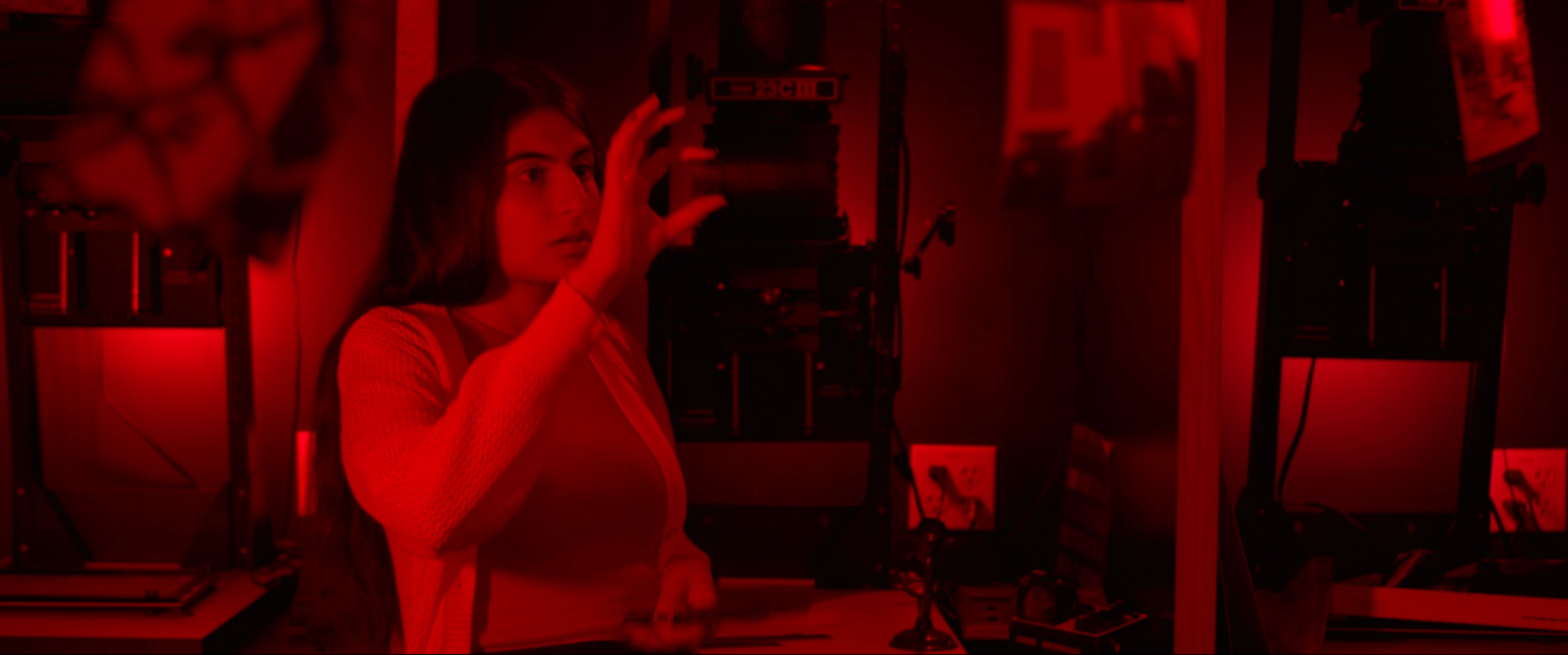 Pomegranate Tree still, red darkroom