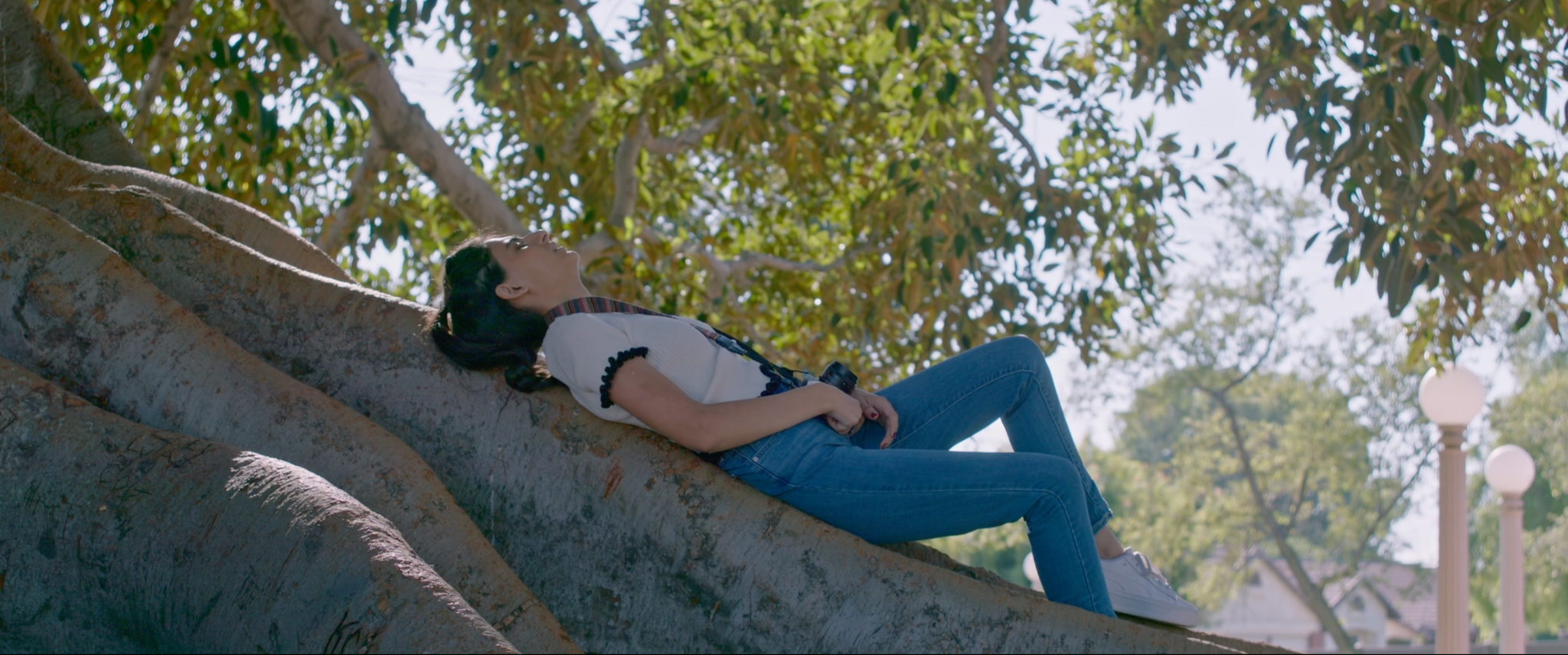 Pomegranate Tree still, girl resting in tree